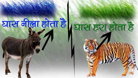 Best Hindi Motivational Kahani